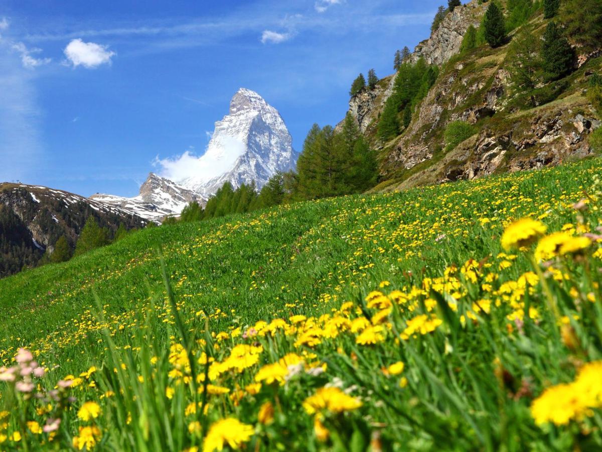 Apartment Kondor By Interhome Zermatt Exteriér fotografie