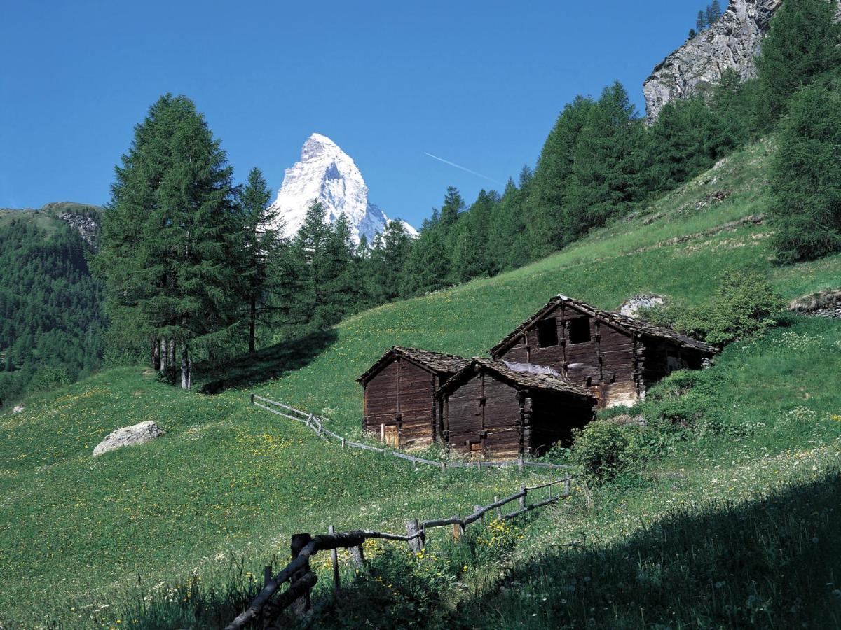 Apartment Kondor By Interhome Zermatt Exteriér fotografie